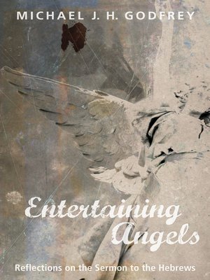 cover image of Entertaining Angels